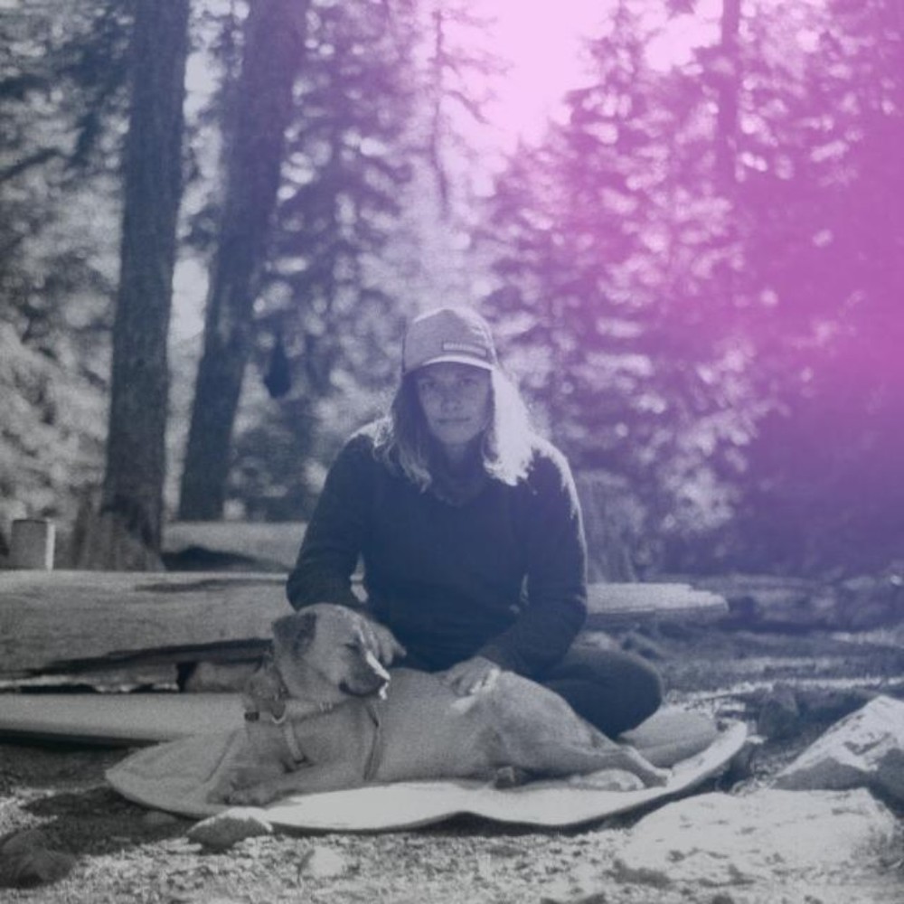 Meet your Posher, Sugar